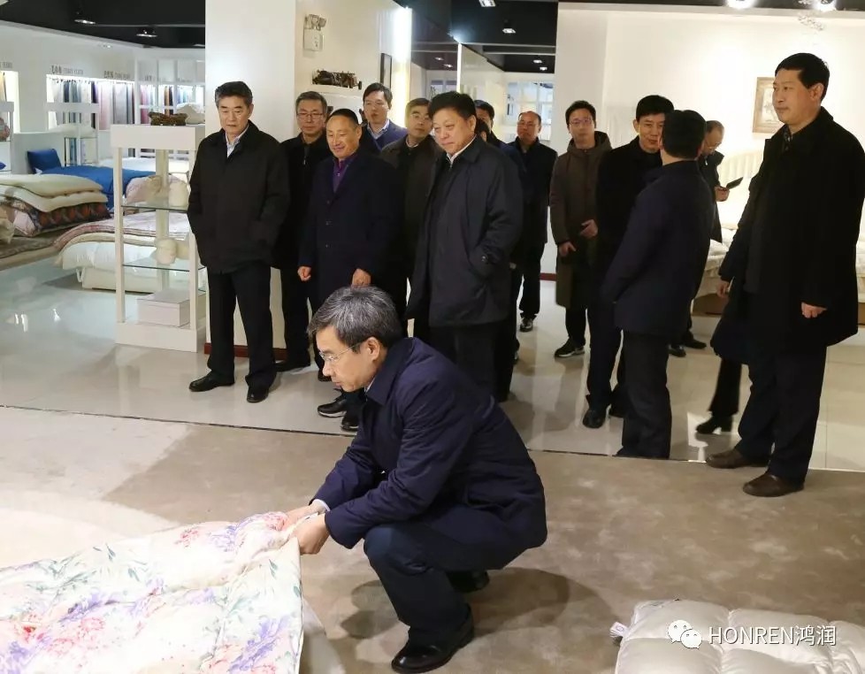 安徽省委常委、常務(wù)副省長鄧向陽到鴻潤視察