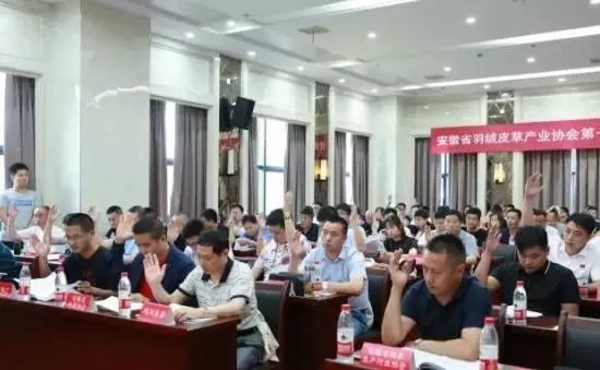 安徽省羽絨皮草產(chǎn)業(yè)協(xié)會(huì)成立，夏吉國(guó)總裁任第一屆理事會(huì)顧問(wèn)
